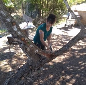 Meet your Posher, Elida